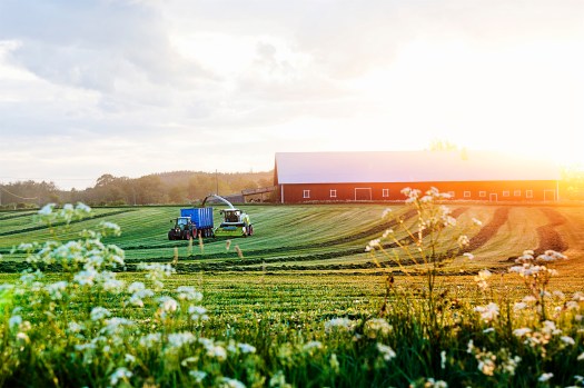 Farmer-working-on-the-field