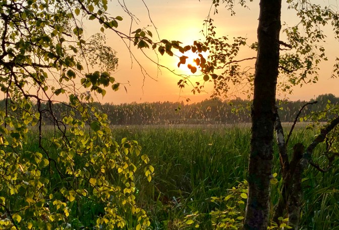 Espoo Aalto Otaniemi campus Sommer sunset